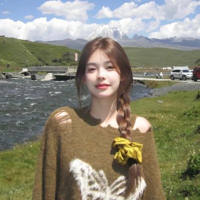 美国谍梦第五季